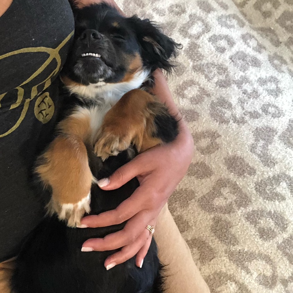 Meet your Posher, Lexxi